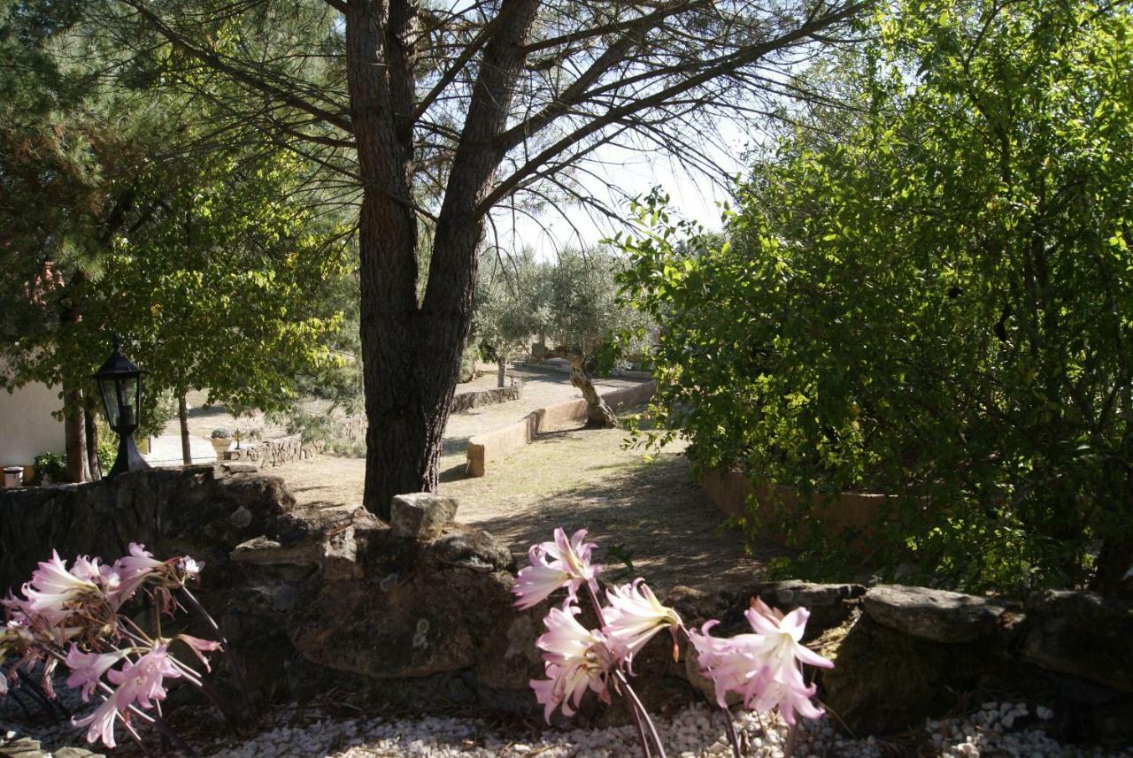הוילה Sao Pedro de Tomar Casa Do Vale מראה חיצוני תמונה