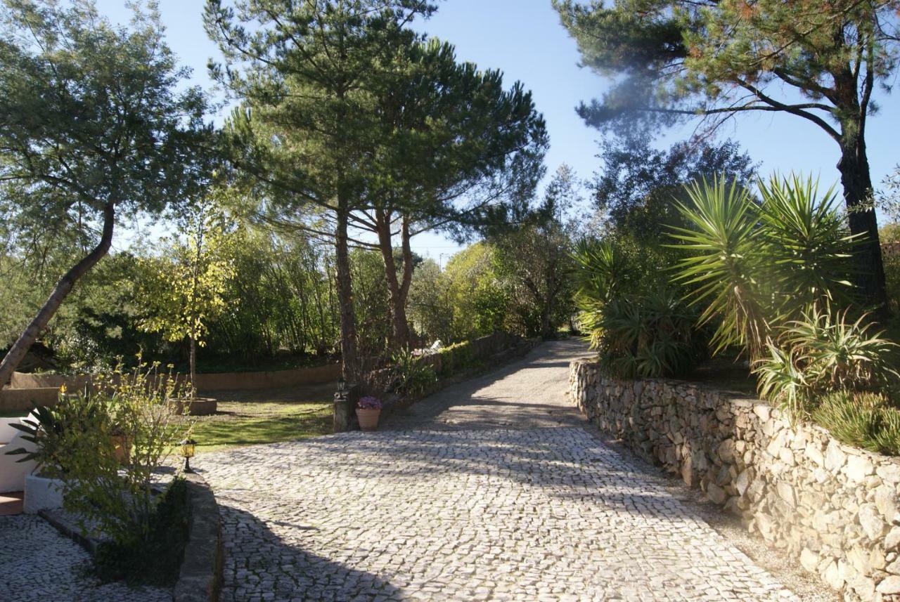 הוילה Sao Pedro de Tomar Casa Do Vale מראה חיצוני תמונה