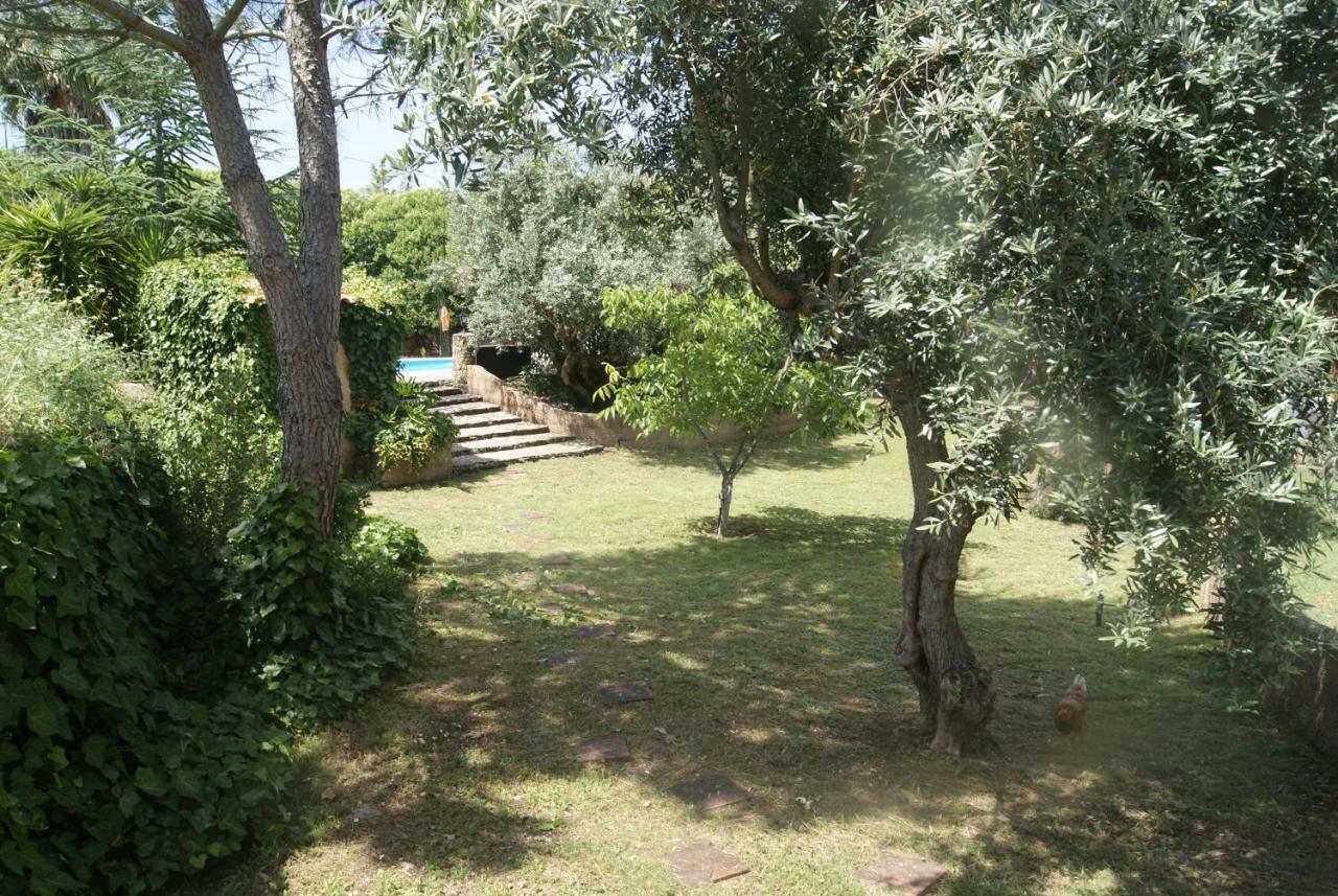 הוילה Sao Pedro de Tomar Casa Do Vale מראה חיצוני תמונה