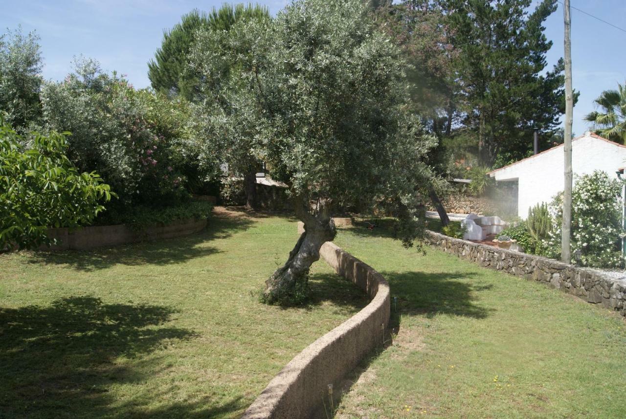 הוילה Sao Pedro de Tomar Casa Do Vale מראה חיצוני תמונה